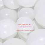 Mia Zabelka Trio Weird Tales And Elegant Motion