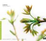 Katarzyna Głowicka Seven Sonnets