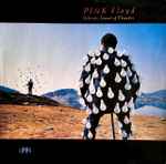 Pink Floyd Delicate Sound Of Thunder