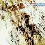 Mike Rutherford Smallcreep's Day