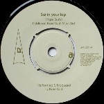 Kate Bush Sat In Your Lap