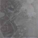 Dragons Here Are The Roses