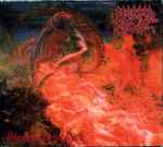 Morbid Angel Blessed Are The Sick