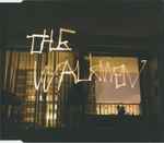 The Walkmen The Rat