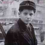 Shelley's Children Everytown