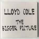 Lloyd Cole The Bigger Picture