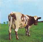 Pink Floyd Atom Heart Mother