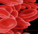 Rosewater Bloodcount