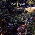 Evil Spirit The Imageless Mirror