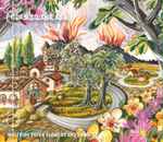 Open To The Sea Watering Paper Flowers And Snakes