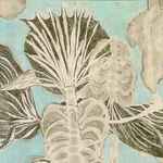 The Vitamin B12 Morgan's Corner