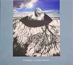 Rafał Iwański Transformations II