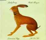Vashti Bunyan Lookaftering