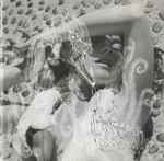 Björk Vespertine