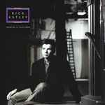 Rick Astley Hold Me In Your Arms