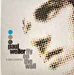 Paul Weller Fly On The Wall (B Sides & Rarities)