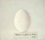 Wilco A Ghost Is Born