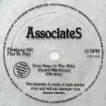 The Associates Even Dogs In The Wild