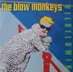The Blow Monkeys Wildflower