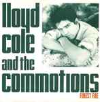 Lloyd Cole & The Commotions Forest Fire