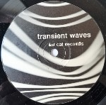 Transient Waves Born With A Body And Fucked In The Head