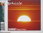 Fatboy Slim Sunset(Bird Of Prey)