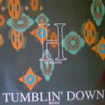 Hermann Tumblin' Down Remixes 