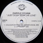 Carole Sylvan Just Doin' What We Love 