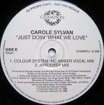 Carole Sylvan Just Doin' What We Love 