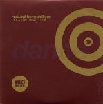 Natural Born Chillers - Rock The Funky Beat Cd#2