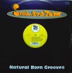 Natural Born Grooves Soulsystem 