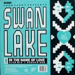Swan Lake In The Name Of Love