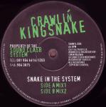 Crawlin' Kingsnake  Snake In The System