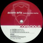 Acorn Arts feat. Julian Marley Real Lies 