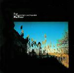 Cinematic Orchestra Singles From The Album 'Ma Fleur'